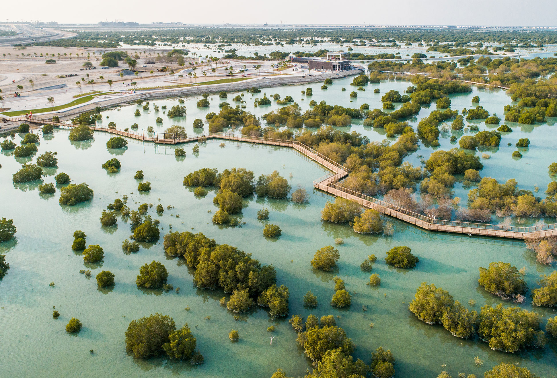 Mangrove Jubail Crystal Projects